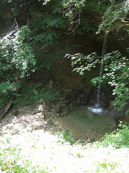 DSCF9798.JPG - Der Wasserfall im Sagentobel