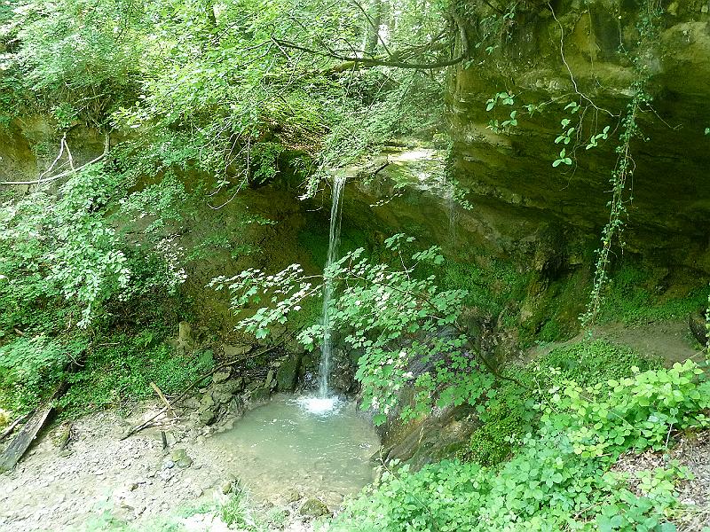 P1020782.JPG - Der Wasserfall im Sagentobel